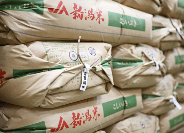 Le Japon Eyes More Rice Exportent comme la consommation domestique pour diminuer