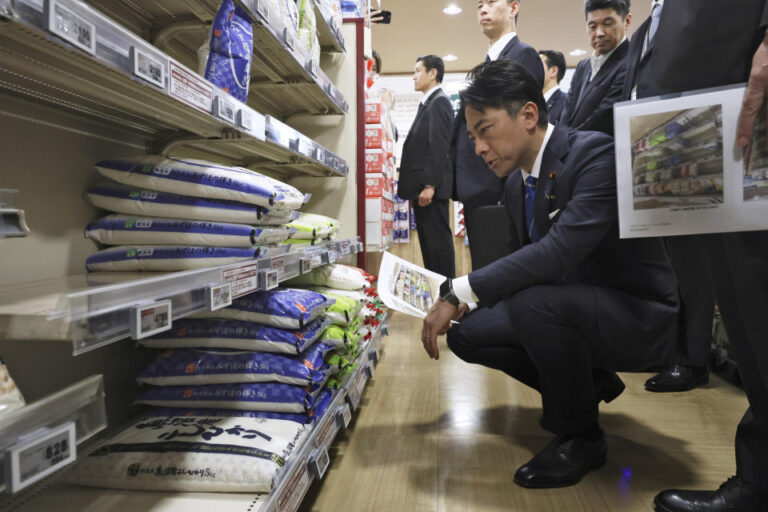 Le Japon secoue le système de vente de riz, cible les prix inférieurs au début de juin