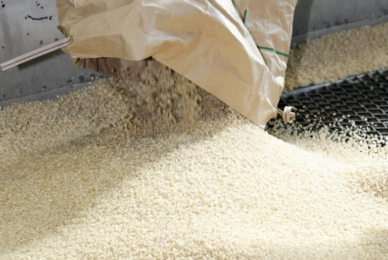 Líder da oposição japonesa é repreendido por chamar reserva de arroz do governo de "ração animal"