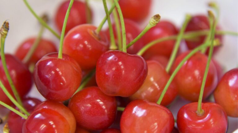 200 kg de cerises d'une valeur de 1 mil. Yen volé dans le nord-est du Japon