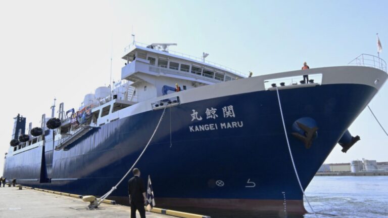 Le navire baleinier japonais revient après avoir pris 25 baleines à nageoires à Okhotsk