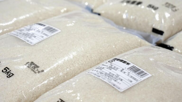 Plus de la moitié des entreprises productrices de riz estiment que les prix du riz « trop ​​élevés »