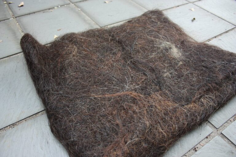 Des tapis écologiques faits de cheveux déchets testés pour cultiver du soja au Japon