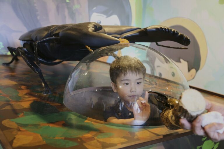 Les insectes sont des animaux de compagnie populaires au Japon qui aiment la nature, bourdonnant de leçons sur l'écologie et les espèces