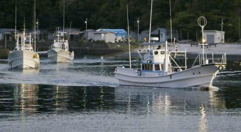 Dolphin « Drive-Hunt » commence dans l'ouest du Japon baleinier ville