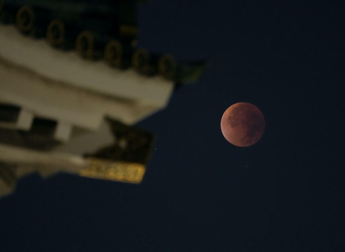Éclipse lunaire totale observée à travers le Japon