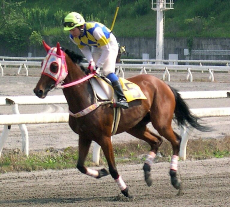 Haru Urara, célèbre cheval japonais qui a perdu dans les 113 de ses courses, meurt