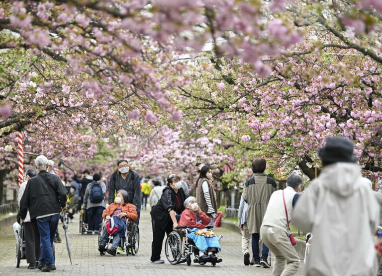 La part de la population âgée de 65 ans ou plus de coups plus élevés record de 29,4%: Gov't