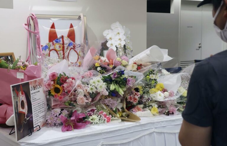 Mémorial tenu pour le cheval japonais Haru Urara surnommé « Star Loser »
