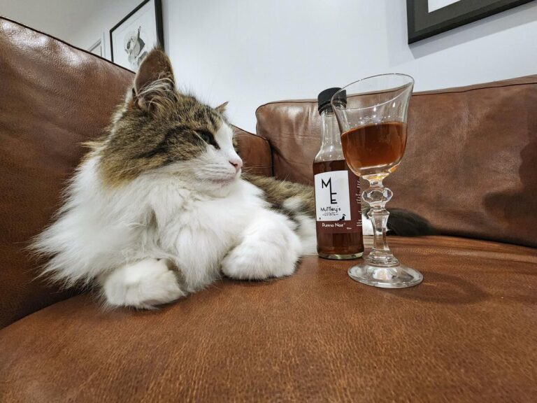 Vins pour animaux de compagnie pour chats, les chiens décollent en Nouvelle-Zélande