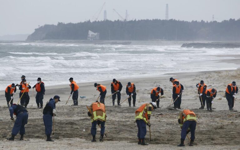 Reste identifiée comme étant une fillette de 6 ans disparue lors du tsunami au Japon en 2011