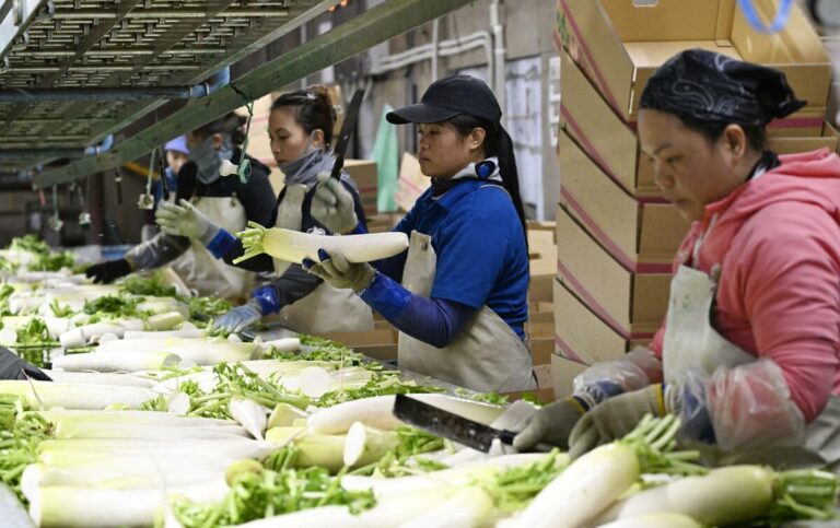 La population étrangère de 10 préfectures japonaises a plus que doublé en dix ans