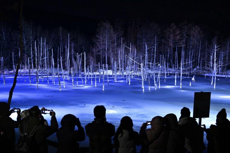 Le célèbre Blue Pond d'Hokkaido scintille lors de l'illumination annuelle