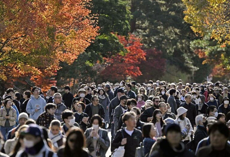 Le palais impérial de Tokyo ouvre une section permettant au public d'admirer le feuillage d'automne
