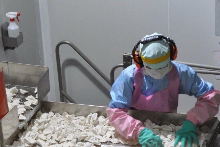 Les accidents du travail et les décès d'étrangers au Japon dépassent les 6 000 pour la première fois