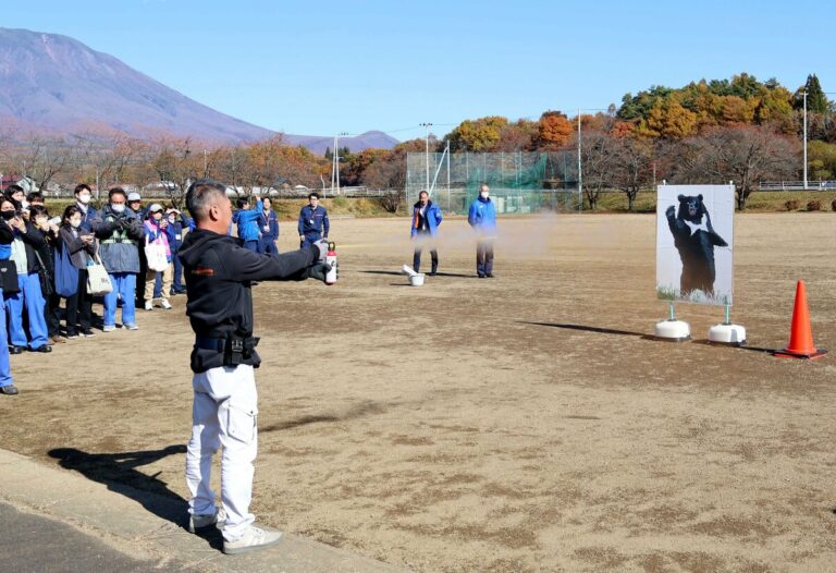 Les attaques d'ours au Japon donnent lieu à de fausses images d'IA et à des interruptions de service