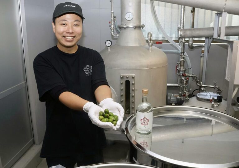 Une distillerie de gin artisanal espère contribuer à améliorer l'image de Fukushima
