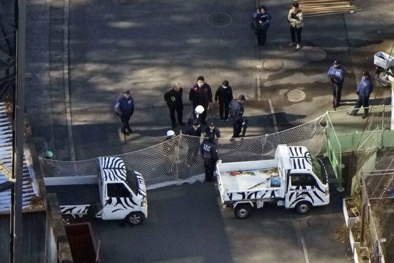Un loup capturé après sa fuite a semé le chaos au zoo de l'ouest de Tokyo