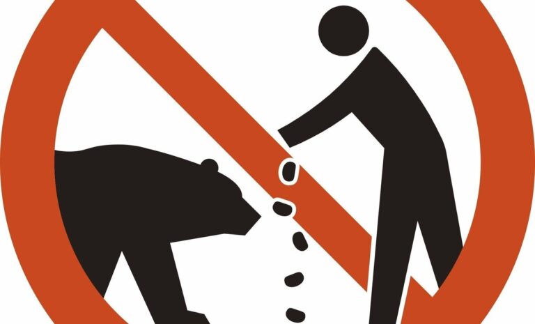 L'Agence japonaise du tourisme publie des pictogrammes d'avertissement contre les ours