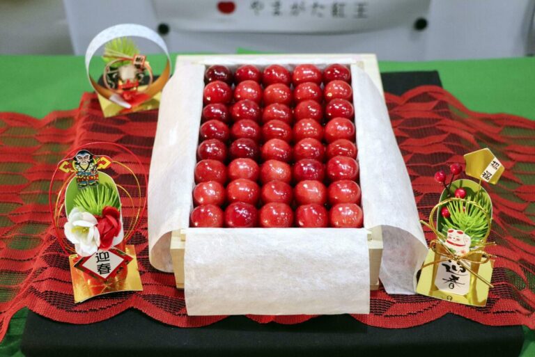 Les cerises de qualité supérieure rapportent plus de 1 mil. yens lors des premières enchères de l'année au Japon