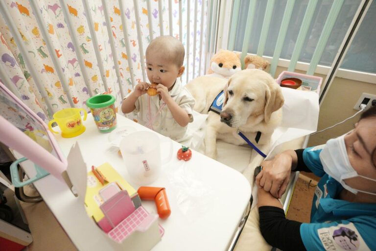 Les chiens des hôpitaux japonais apportent des moments de normalité aux enfants gravement malades