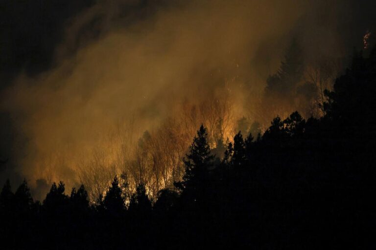 Les habitants sont invités à évacuer le centre du Japon alors que les incendies de forêt se poursuivent