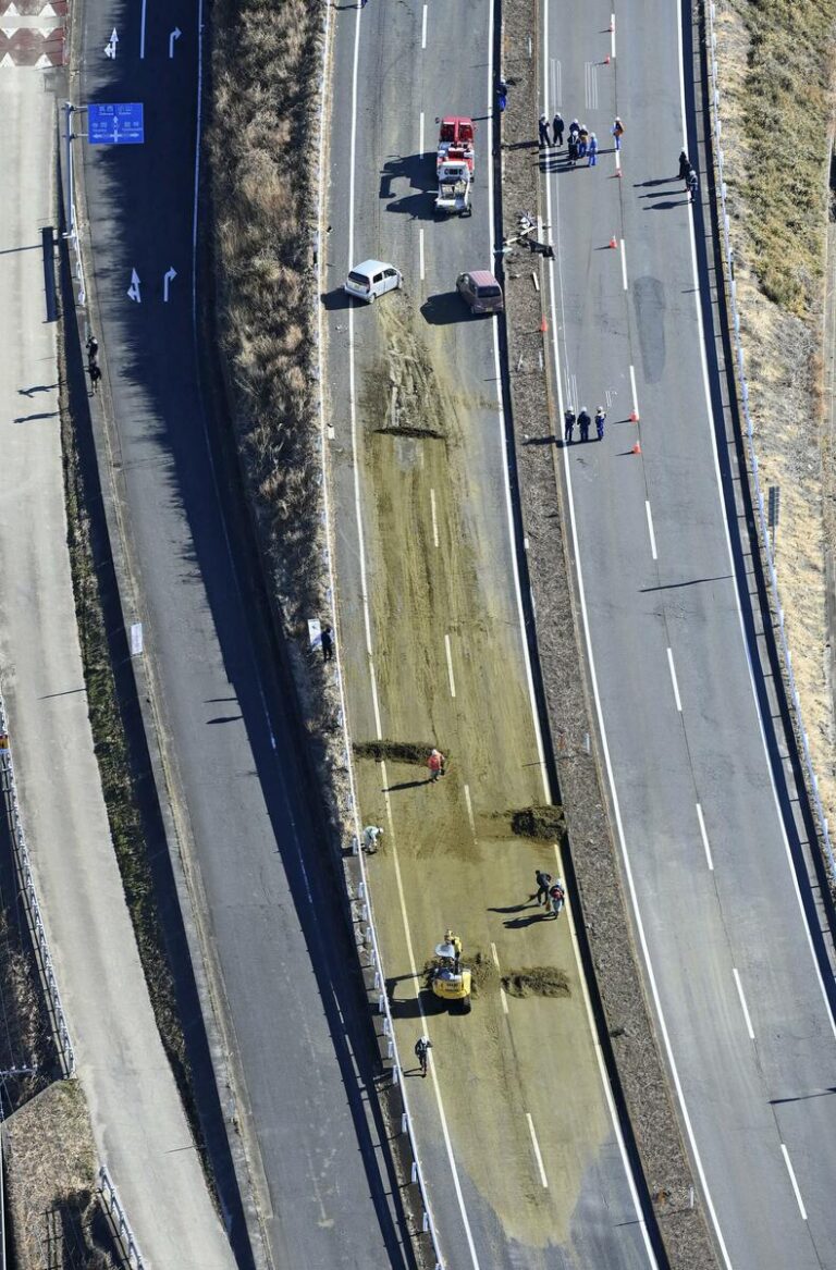 Un déversement de feuilles de thé provoque un accident impliquant plusieurs véhicules dans l'est du Japon, faisant 1 mort