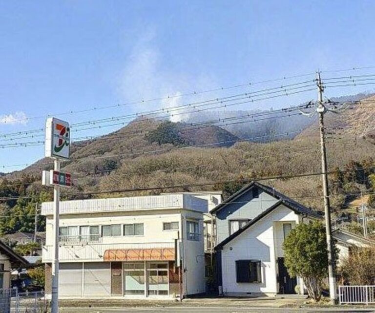 Un incendie de forêt éclate au nord de Tokyo, déploiement des FDS demandé