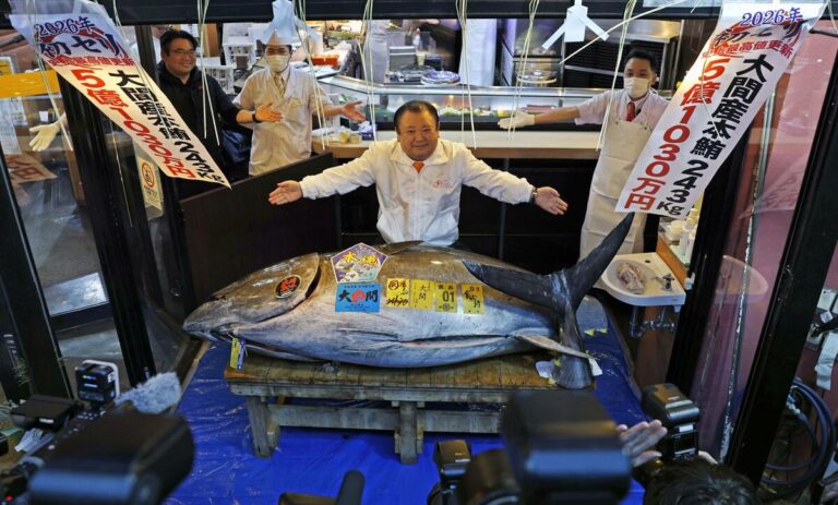 Une chaîne de sushi achète du thon pour un montant record de 510,3 millions. yens aux enchères du Nouvel An