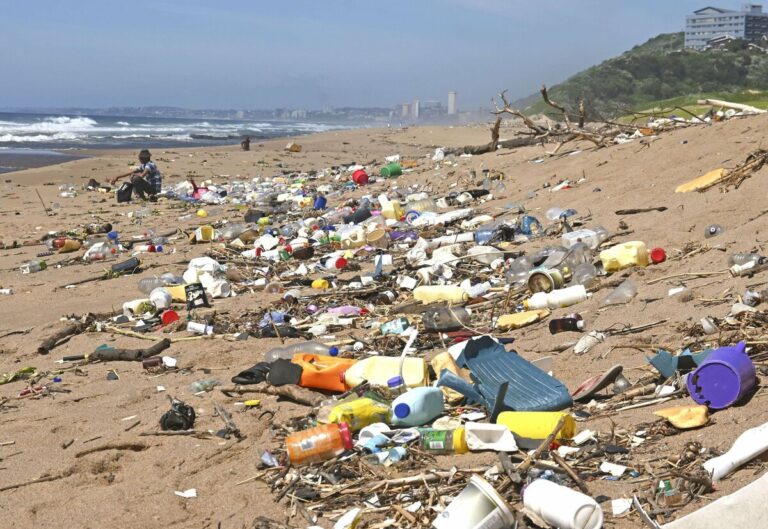 Le Japon organisera une conférence internationale sur la pollution plastique à Tokyo en mars