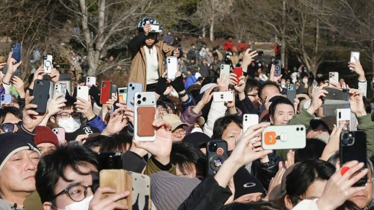 Les courtes élections japonaises font monter les enjeux de la campagne sur les réseaux sociaux