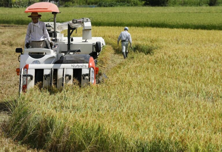 Les exportations agricoles annuelles du Japon atteignent un nouveau record de 1,7 billion de yens