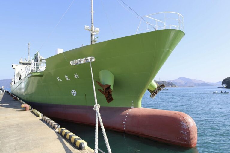 Un navigateur de cargo arrêté après une collision mortelle dans le centre du Japon