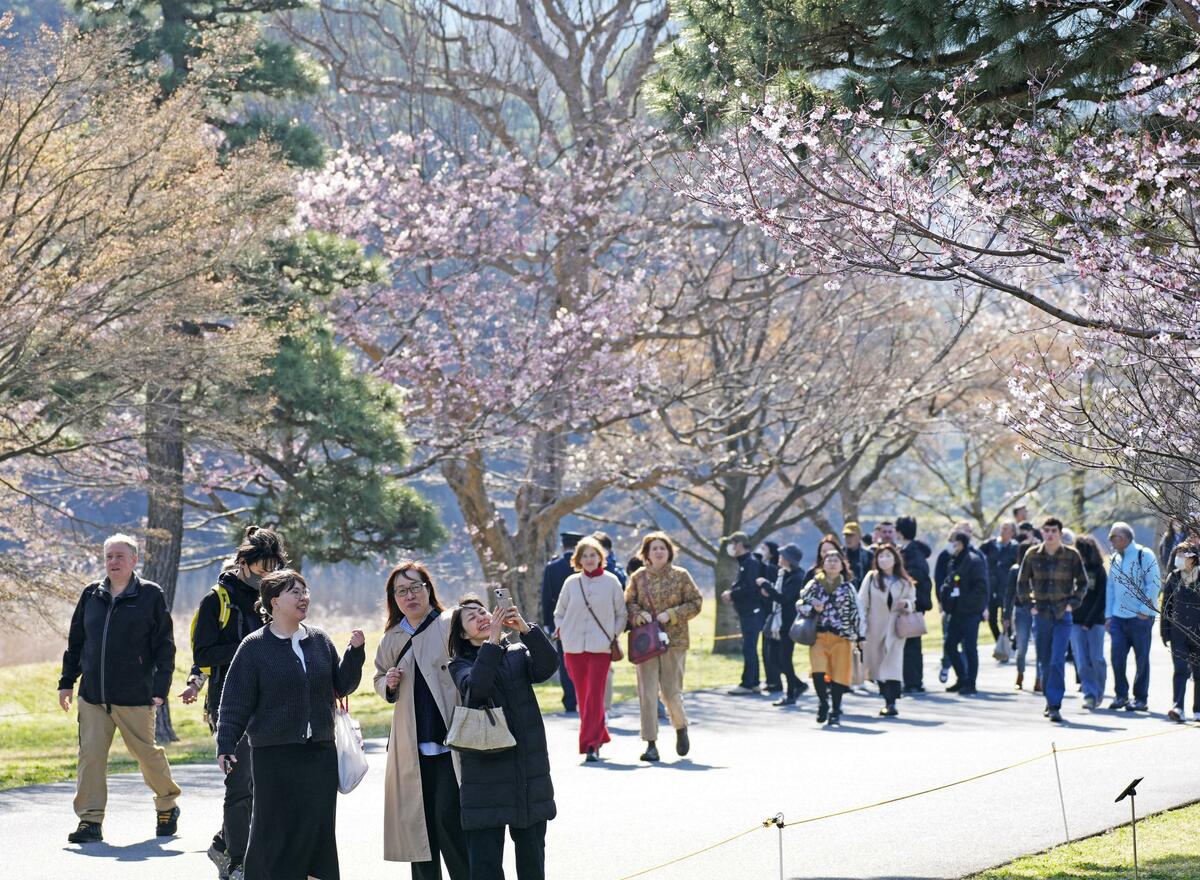 Le parc du palais impérial ouvert au public pour la saison des cerisiers en fleurs