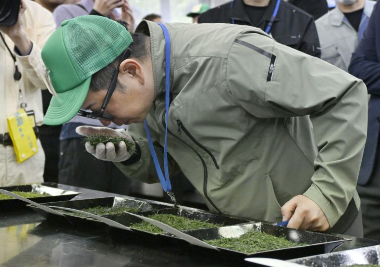 Le nouveau thé de Shizuoka récupère 1,18 mil. yens par kg lors de la première vente aux enchères de l'année