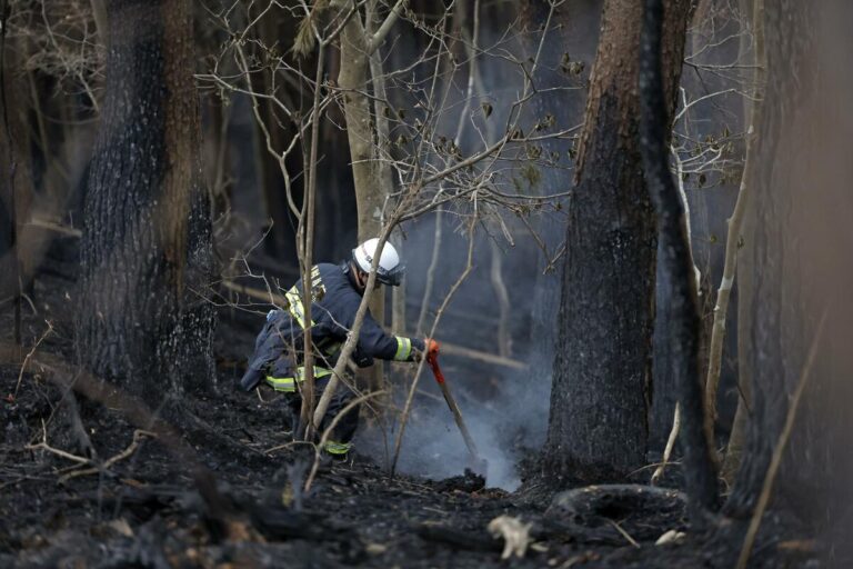 Les incendies de forêt « largement sous contrôle » dans le nord-est du Japon depuis 7e jour