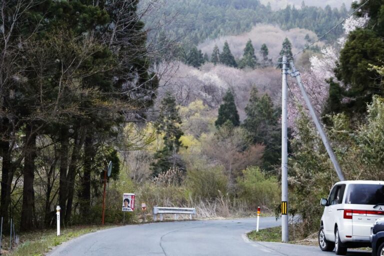 Un corps retrouvé après une attaque d'ours, peut-être le premier décès de ce type au Japon cette année