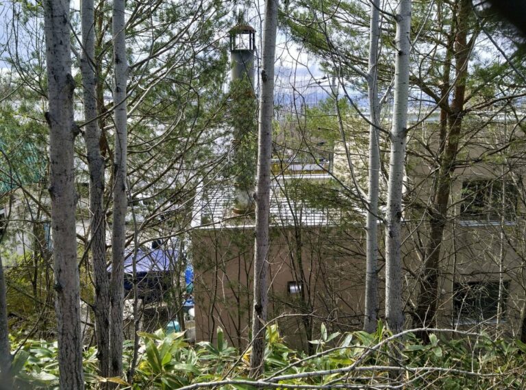 Un employé du zoo d'Hokkaido soupçonné d'avoir jeté le corps d'une femme dans un incinérateur
