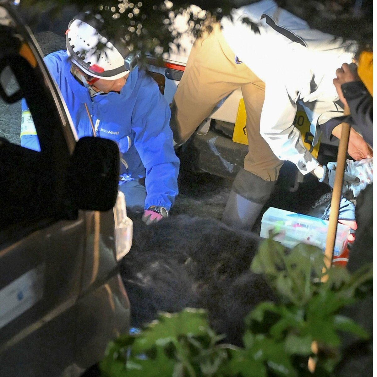 Un oso deambula durante horas en una zona residencial del noreste de Japón y luego es abatido.