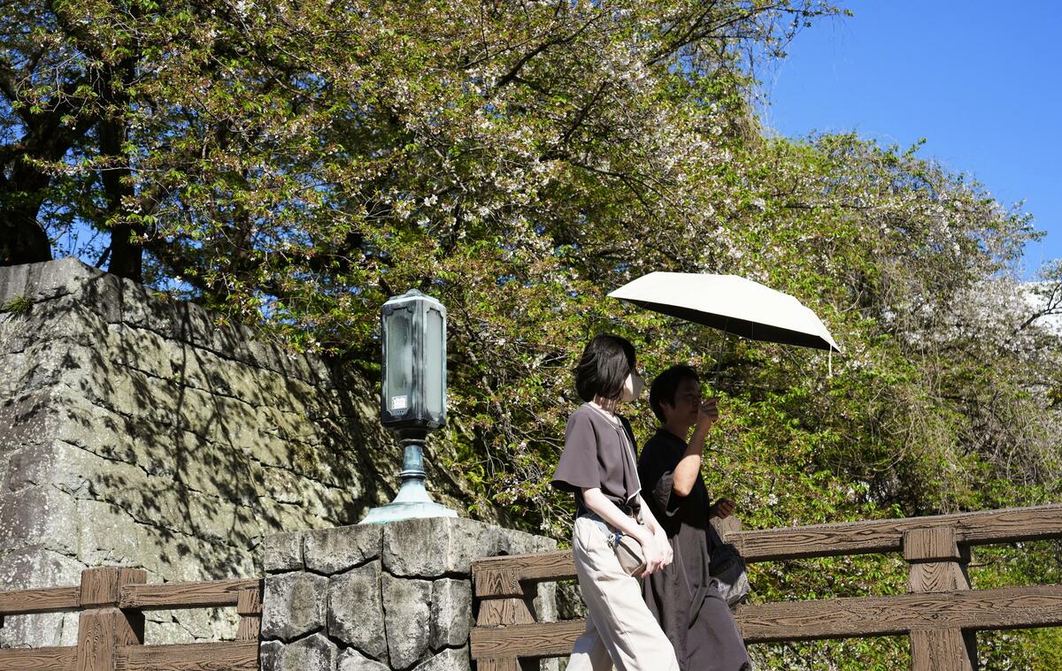 Une partie du Japon connaît des températures chaudes, 30 °C enregistrées à Shizuoka