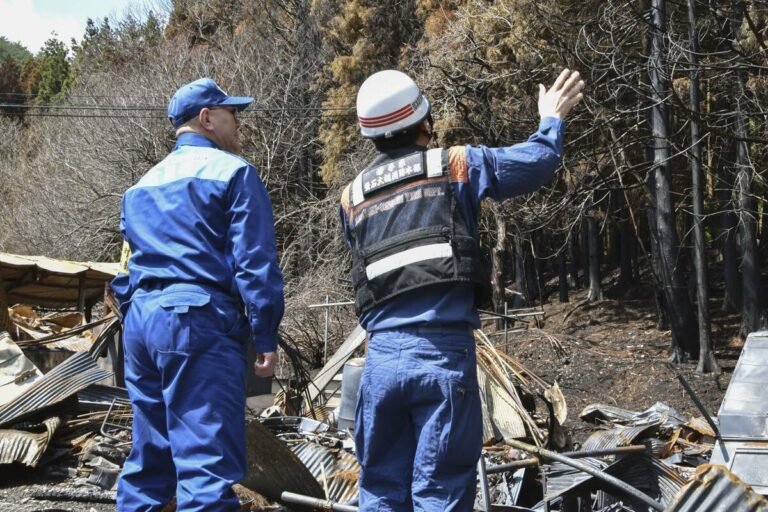 Un incendie de forêt maîtrisé dans le nord-est du Japon brûle 1 633 hectares en 11 jours