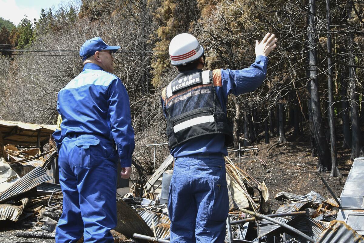 Un incendio boschivo nel nord-est del Giappone, ora sotto controllo, ha bruciato 1.633 ettari in 11 giorni.