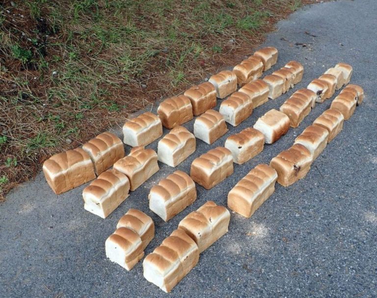 39 kg de pain déversés au bord d’une route dans un parc national de l’ouest du Japon 4 39 kg de pain déversés au bord d’une route dans un parc national de l’ouest du Japon