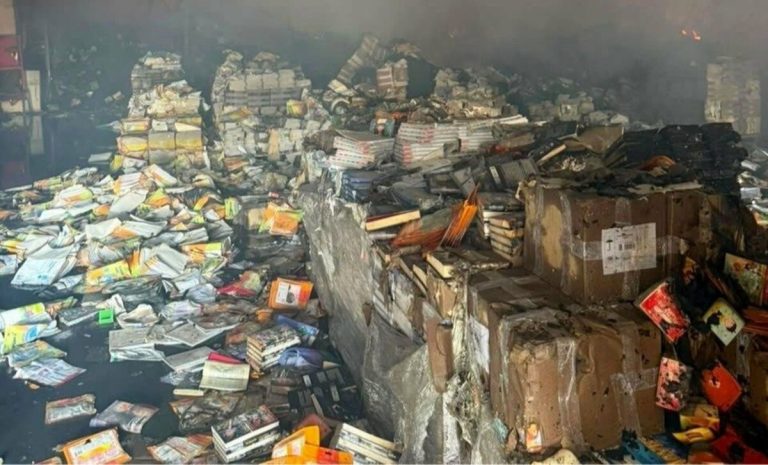 Des livres d'images japonais donnés à l'Ukraine détruits lors d'une frappe de drone russe