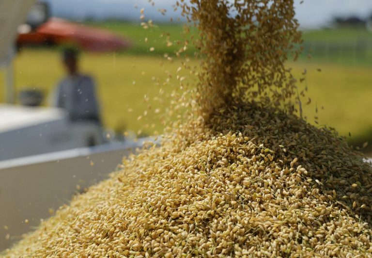 Le taux d&rsquo;autosuffisance alimentaire du Japon tombe à un niveau record de 37 % au cours de l&rsquo;exercice 2025