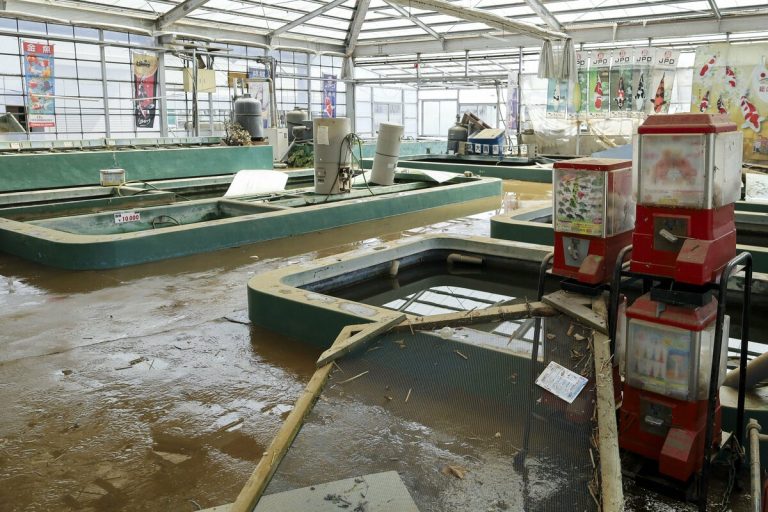 100 000 carpes emportées par les inondations à Chiba après le typhon 2 100 000 carpes emportées par les inondations à Chiba après le typhon