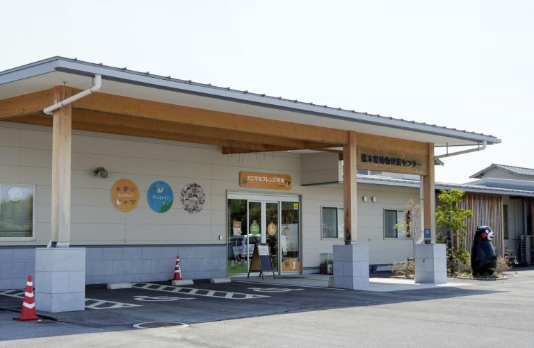 272 rapports d'animaux perdus déposés après le séisme M7.1 de Kumamoto, moins de la moitié retrouvés