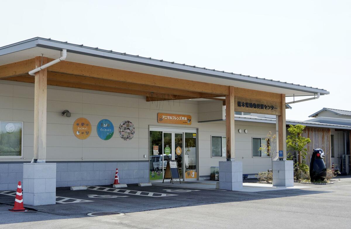 272 rapports d'animaux perdus déposés après le séisme M7.1 de Kumamoto, moins de la moitié retrouvés