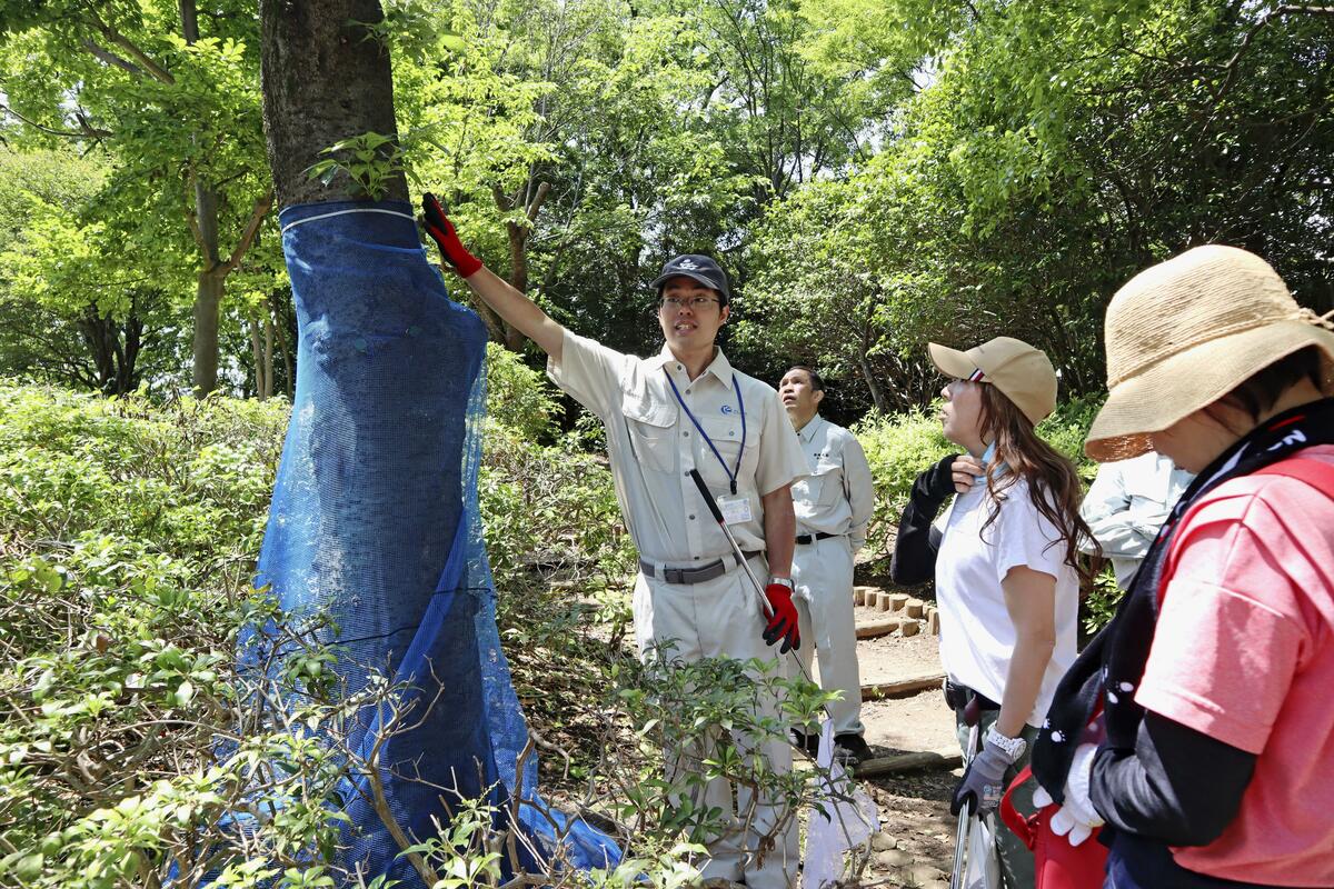 Le Japon va renforcer ses mesures de lutte contre les coléoptères envahissants avec 6,7 milliards de dollars. budget du yen