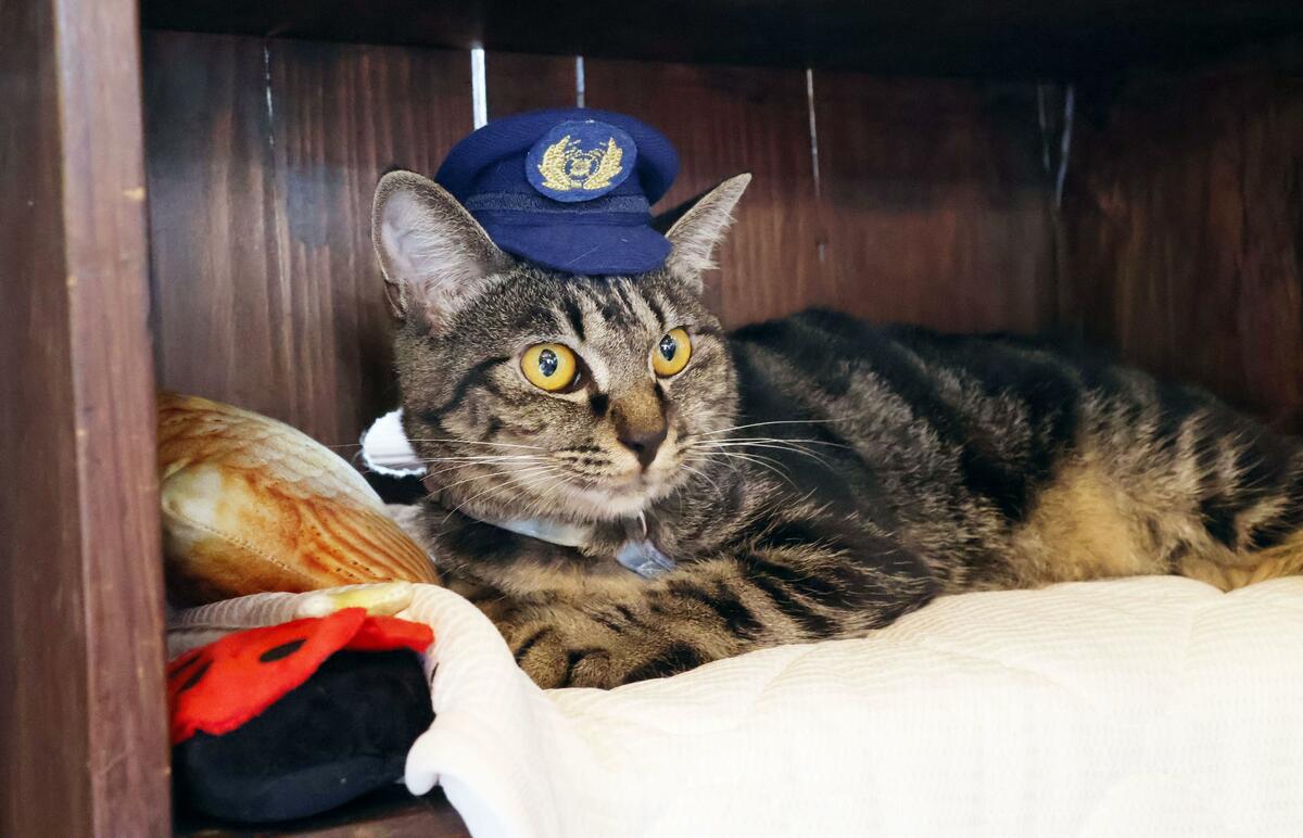 Le chef de gare Cat donne de l'espoir aux chemins de fer japonais en difficulté pour attirer les visiteurs